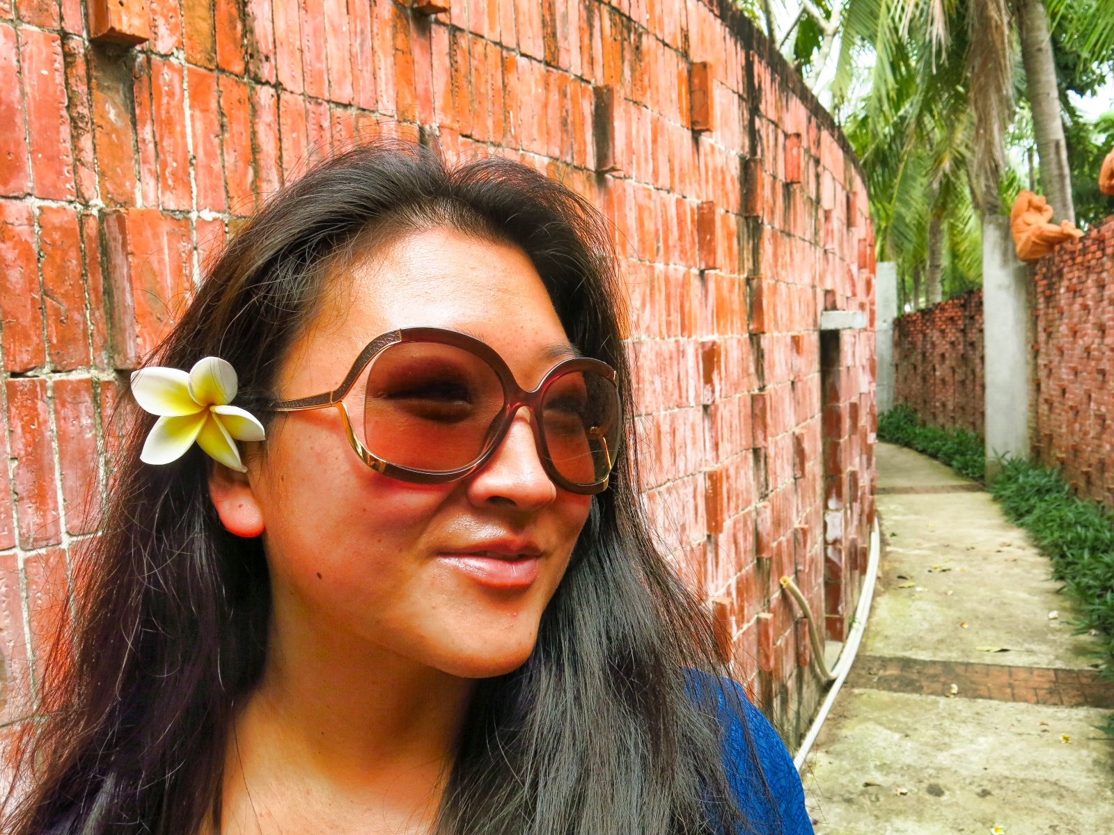 Frangipani